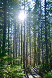 Greeting Cards with 4x6 Mounted Photo